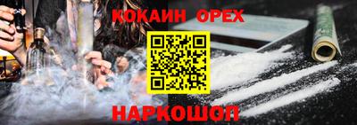 крисы Шебекино