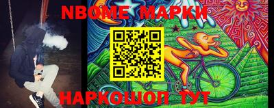 крисы Шебекино