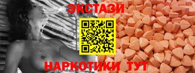 крисы Шебекино