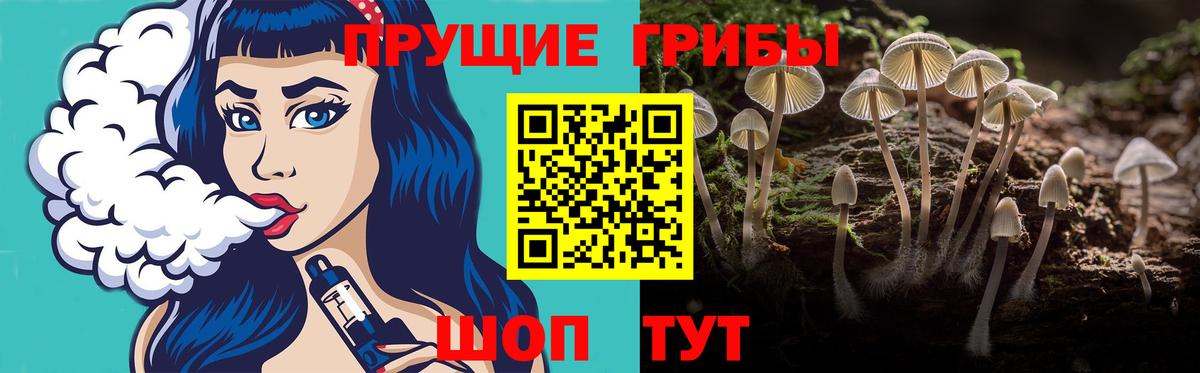 Калининград  Галлюциногенные грибы Magic Shrooms  Вход с VPN 